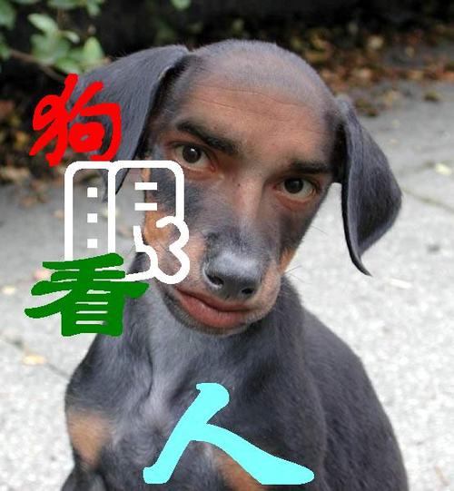 狗眼看人(2)