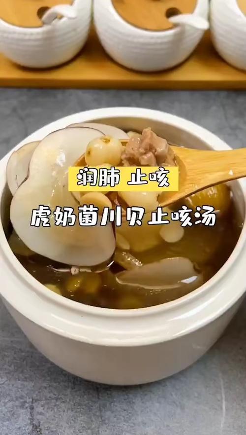 虎奶菌川贝润肺汤_润肺_汤包_雾霾_咳嗽_医疗健康