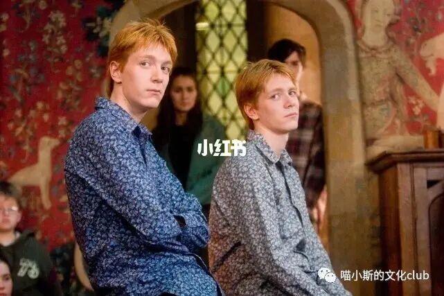 《哈利·波特》:盘点韦斯莱双子发明的那些有趣_双子座_便秘_饼干