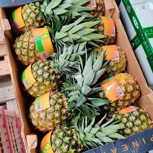 小树菠萝_菠萝_美食_日记_包包_我的美食日记_美食