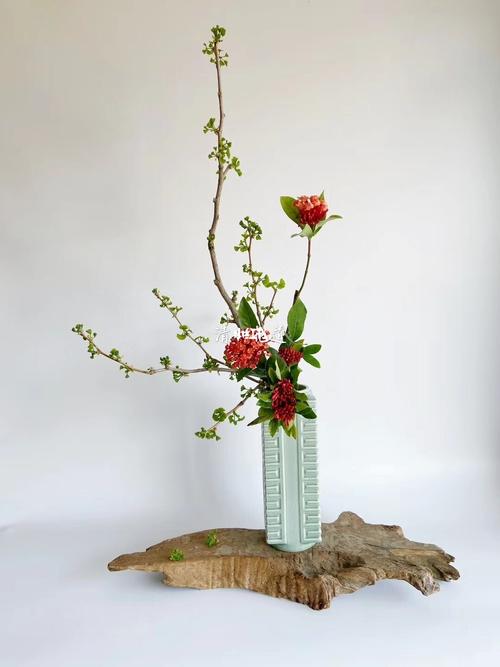 清和花道|插花|日本小原流|学员作品欣赏_插花_日本_艺术_石苑别墅