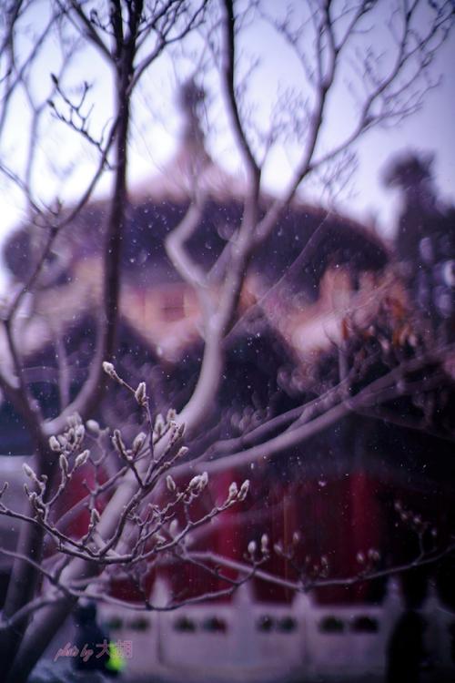 雪落下的声音