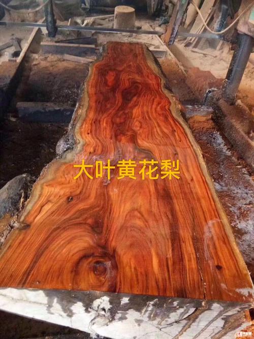 出售印尼大叶黄花梨,长叶鹊肾 - 批木网