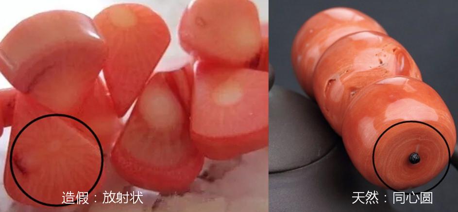 红珊瑚鉴别方法,如何鉴定红珊瑚真假?