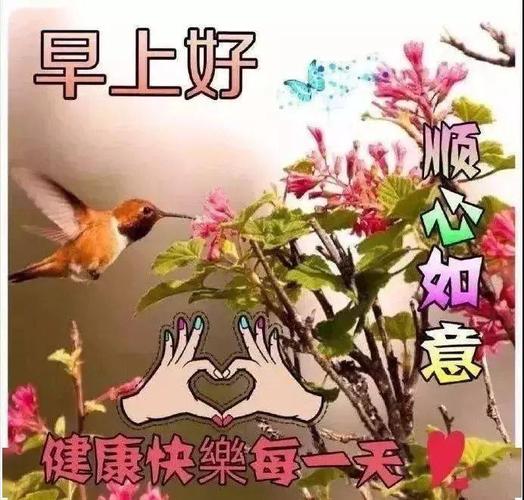 2020清晨问候早上好祝福语精选,微信最暖心的早安说说