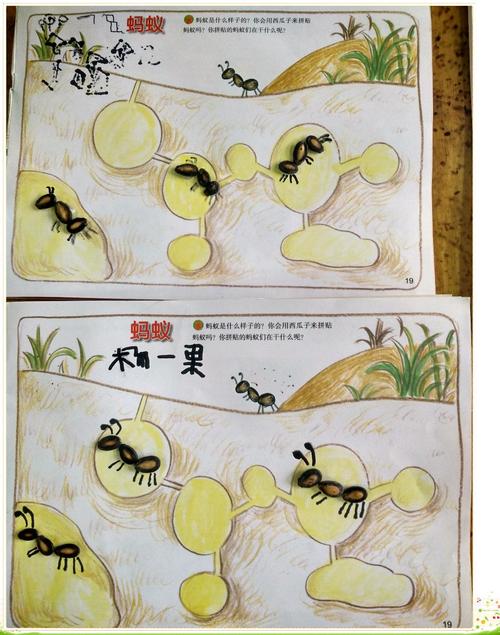 蚂蚁