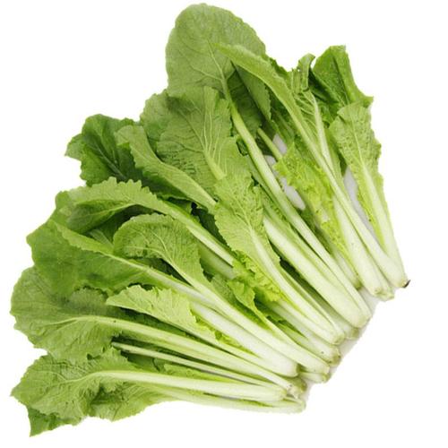 小白菜种植方法,万植网,花卉,鲜花,盆景,果木种植