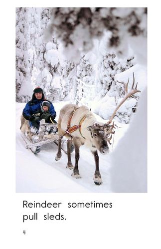 reindeer are real