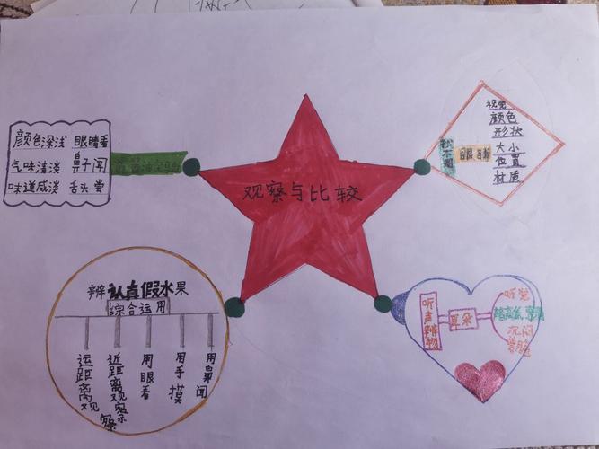 二年级小朋友的思维导图