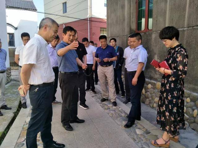 浙江省农办副主任严杰赴衢江调研乡村产业振兴