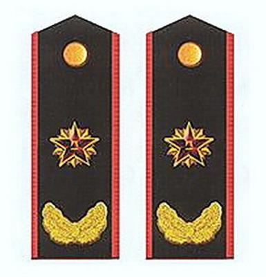 请问部队里面文职干部的军衔和肩章各是什么样式.