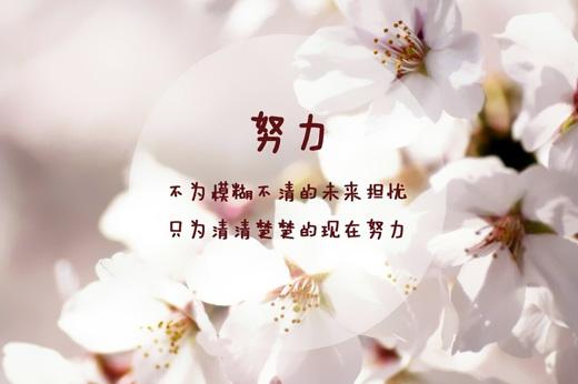 普通上班族的一天凌晨我要努力奋斗清晨我好难