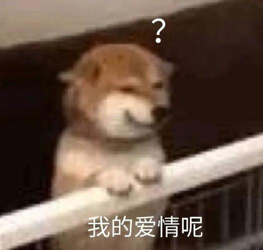 沙雕表情包|我好累