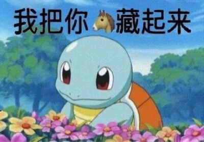 憨八龟表情包