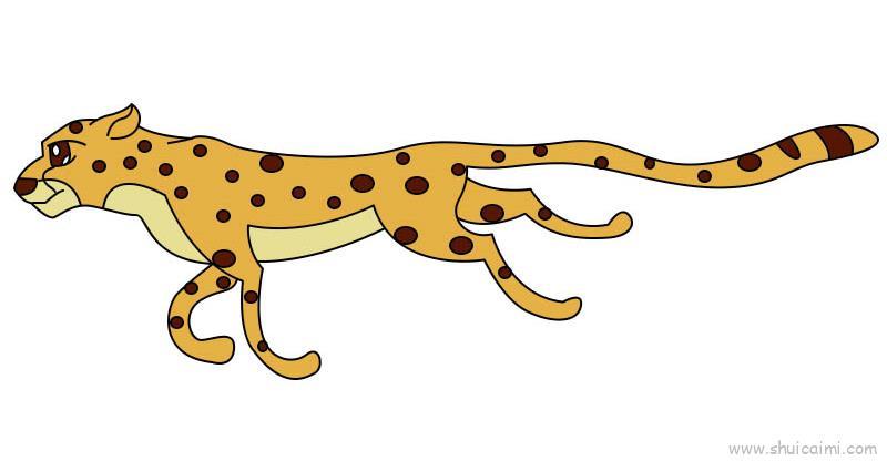 豹子儿童画怎么画 豹子简笔画顺序