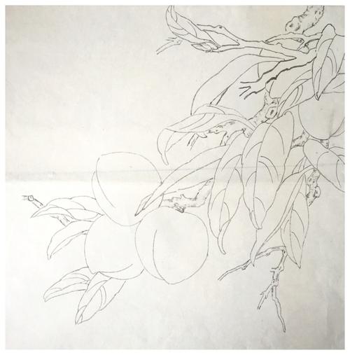 《寿桃图》画法步骤