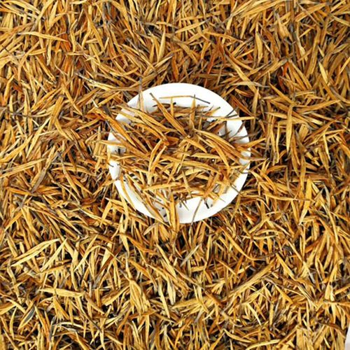 云南古树春茶金针凤庆散茶滇红红茶