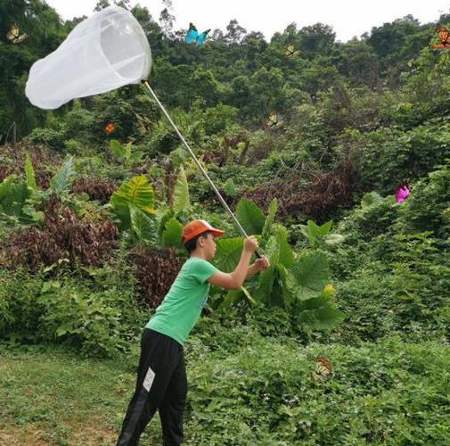 动物之森的捕虫网勾起回忆的捕虫网