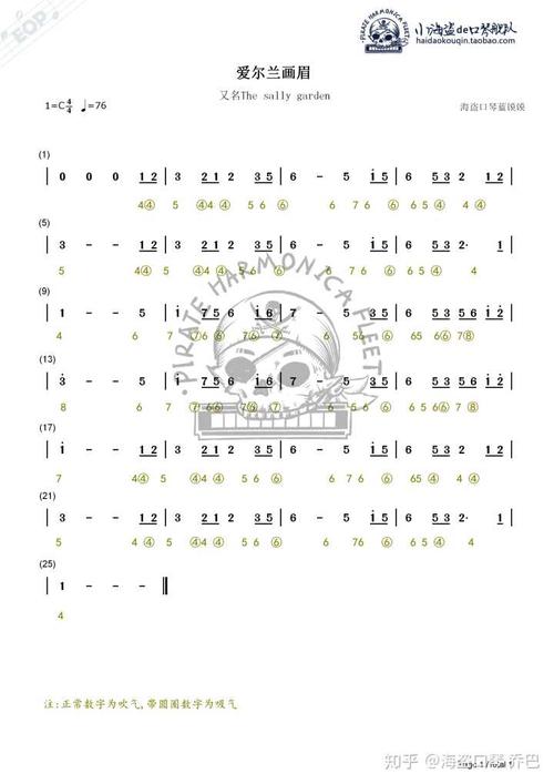 怎样在最短时间内学会口琴曲爱尔兰画眉