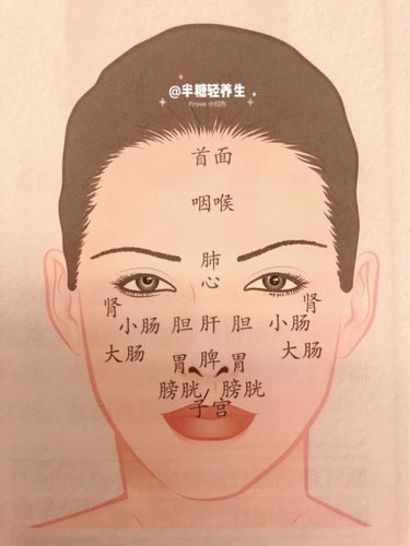 面诊属于中医望诊,就是通过面部反射区观察腑脏疾病与健康状况,通过