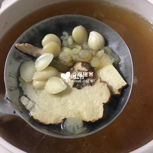 支气管炎救星虎乳菌_支气管炎_排骨_花胶_小朋友_煲汤