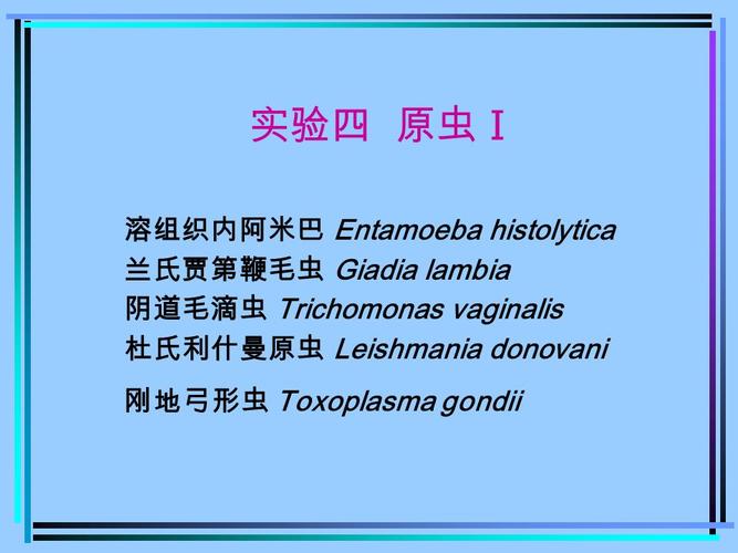 兰氏贾第鞭毛虫 giadia lambia 阴道毛滴虫 trichomonas vaginalis
