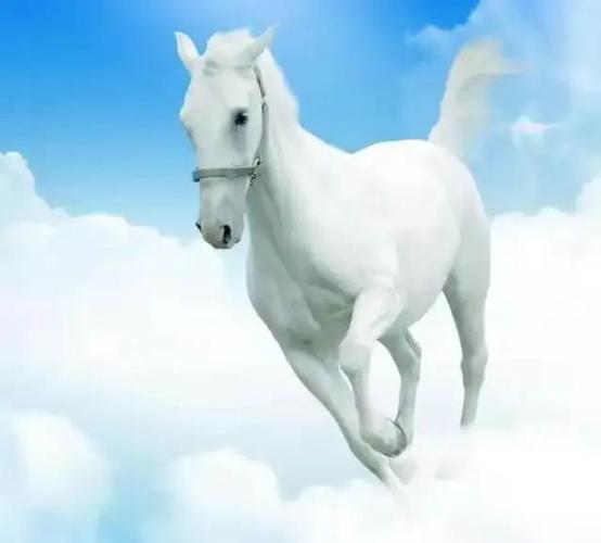 无水印精品手机壁纸及微信头像素材一马当先