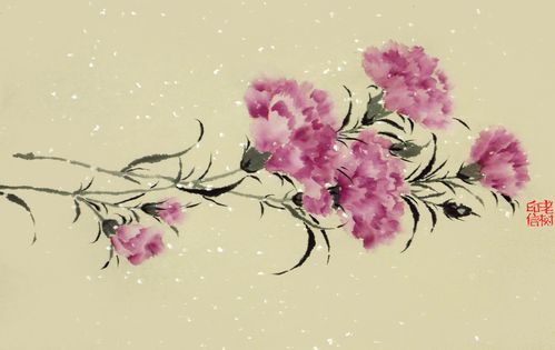 「 老树画画 」. 两枝康乃馨,画来给母亲.愿她好好的,天堂多知音.