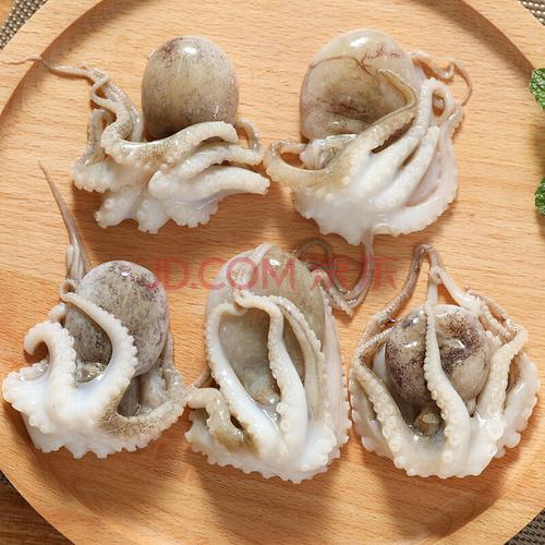 顺丰速运 迷你八爪鱼鲜活小八爪鱼爆头海捕生鲜海鲜烧烤 3斤