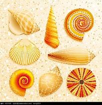 不同形状的贝壳和海螺