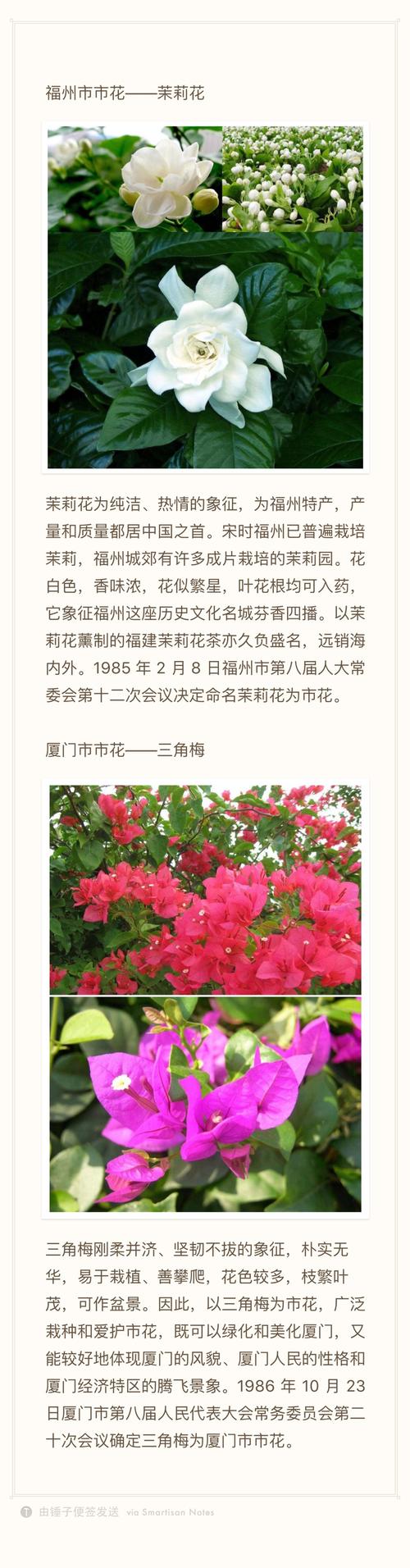 那年花开月正圆,福建各市市花有赏