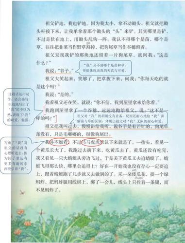 五年级语文下册《祖父的园子》课文笔记