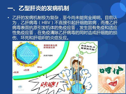 慢性乙型肝炎最新研究进展ppt