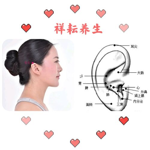 聪耳明目,降血压—耳尖穴 耳尖穴,明朝《针灸大成