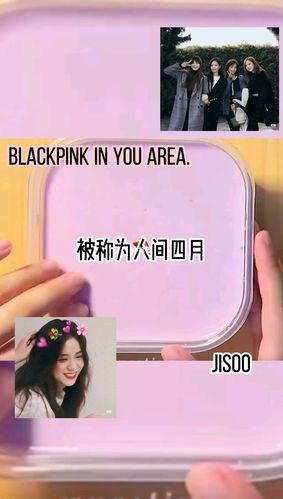 blackpink文案_blackpink_文案_桥挽团队_兴趣爱好