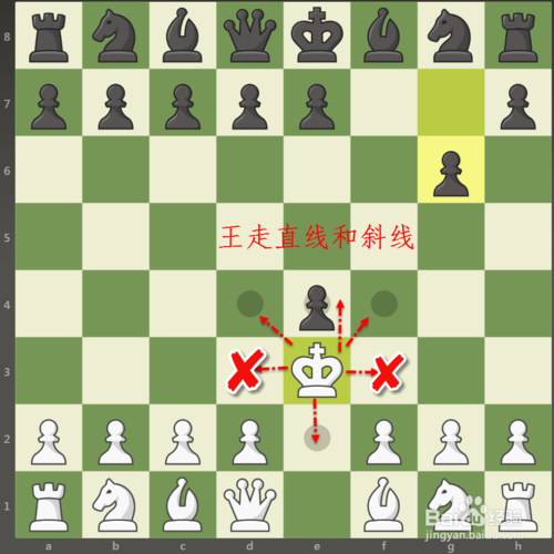 国际象棋入门实用教程