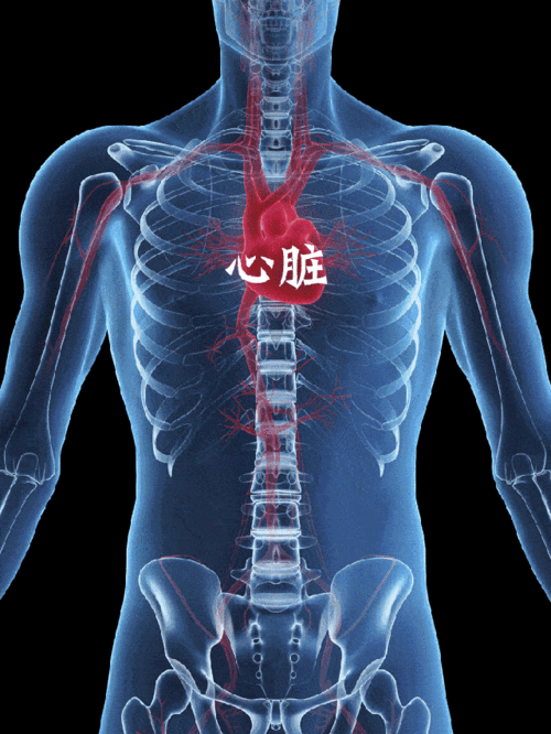 世界心脏日,全世界为你心动