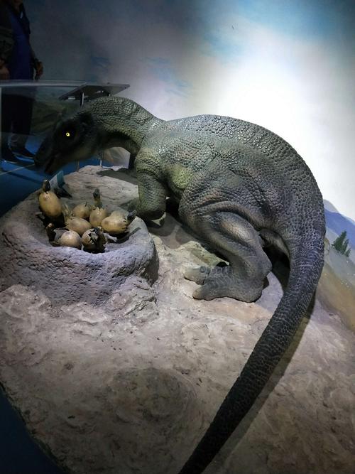 恐龙模型仿真馆门口惊现一窝恐龙,恐龙嫲嫲守护着即将破壳而出的恐龙