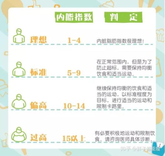 怎样才能告别多余内脏脂肪