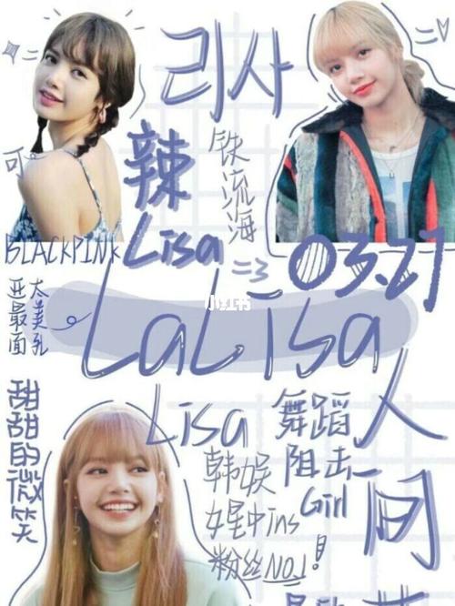 lisa不是泰国人妖/大嘴猴 rosé不是爱哭鬼 jennie不是划水 jisoo不是