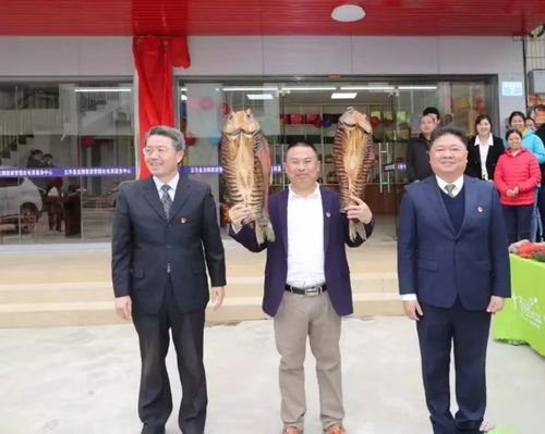 电商资讯详情_五华县