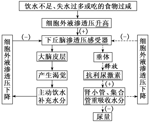 2019版高考生物一轮复习第八单元动物和人体生命活动的调节第四讲神经