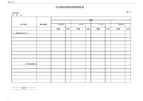 应付帐款明细及帐龄分析表模板.docx 2页