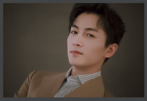 陈晓- 堆糖,美图壁纸兴趣社区