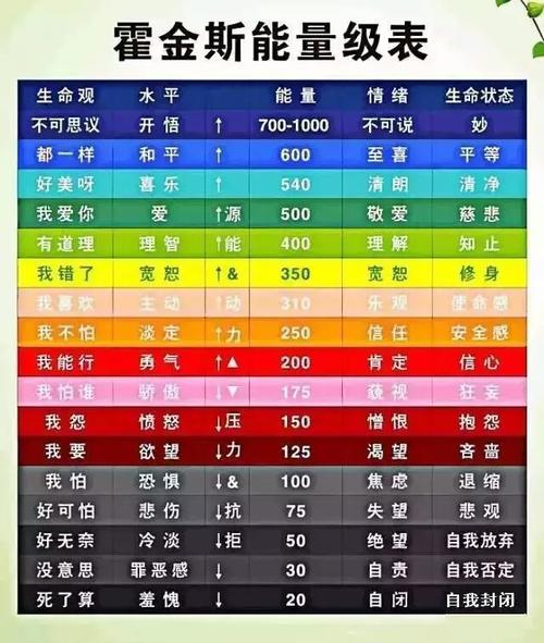 霍金斯能量级表