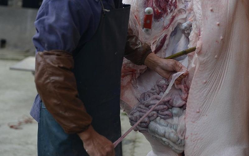 开膛以后,首先要把内脏全部清理出来.