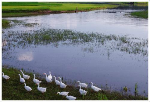 长长的小河像什么