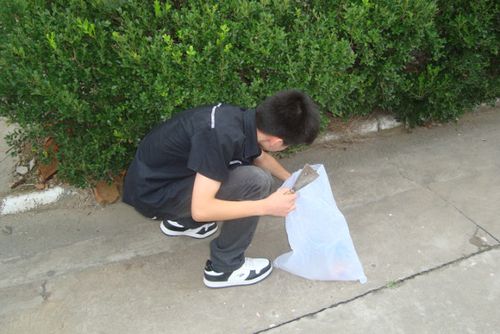 我校师生参加创全国生态镇义务劳动