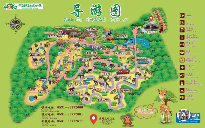 济南动物园(济南野生动物园游玩攻略)