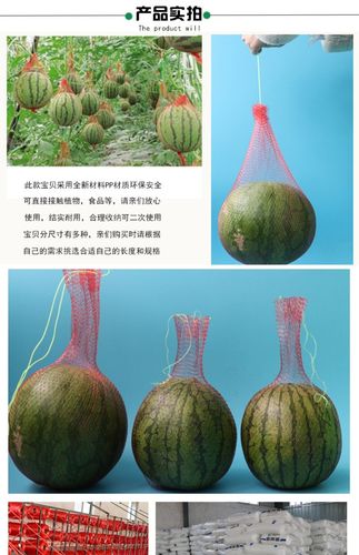 包邮特厚 大棚吊西瓜网兜 甲鱼螃蟹老鳖百香果塑料包装小网眼袋子